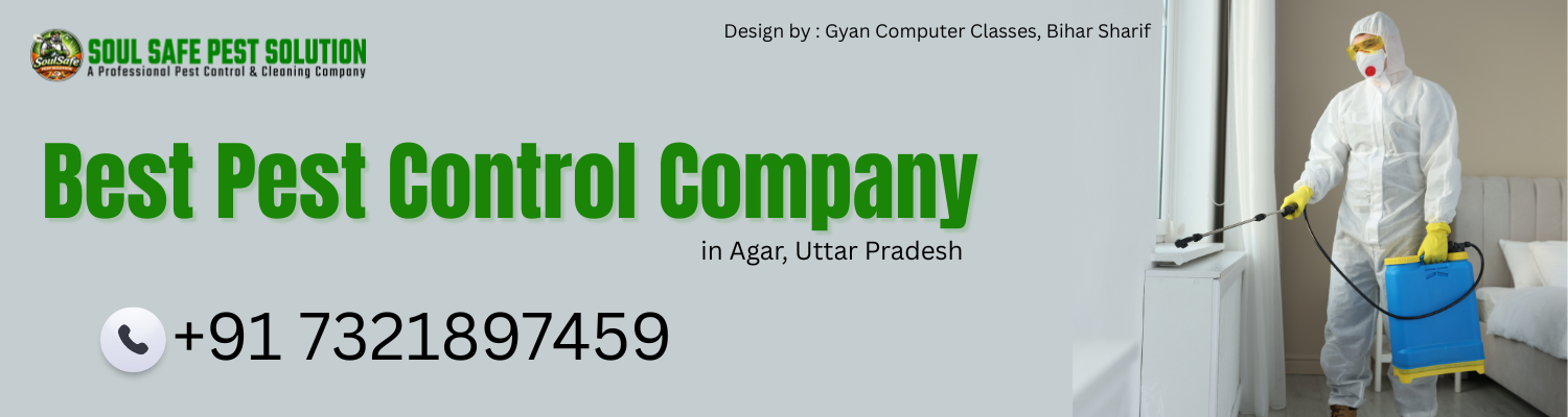 Best Pest Control Company Agar Uttar Pradesh - Soul Safe Pest Sulation Agar Uttar Pradesh